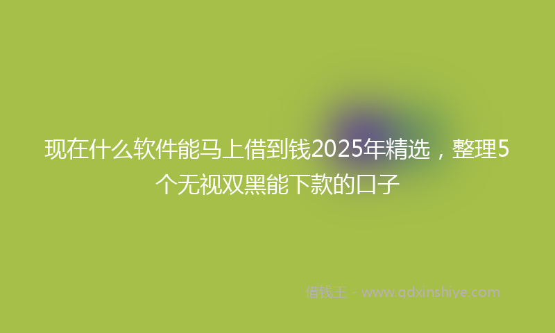现在什么软件能马上借到钱2025年精选，整理5个无视双黑能下款的口子