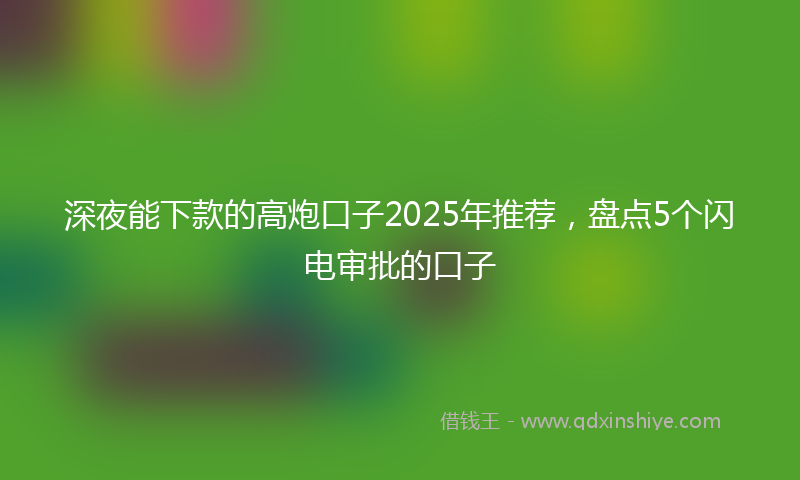 深夜能下款的高炮口子2025年推荐，盘点5个闪电审批的口子