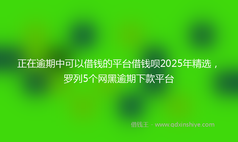 正在逾期中可以借钱的平台借钱呗2025年精选，罗列5个网黑逾期下款平台