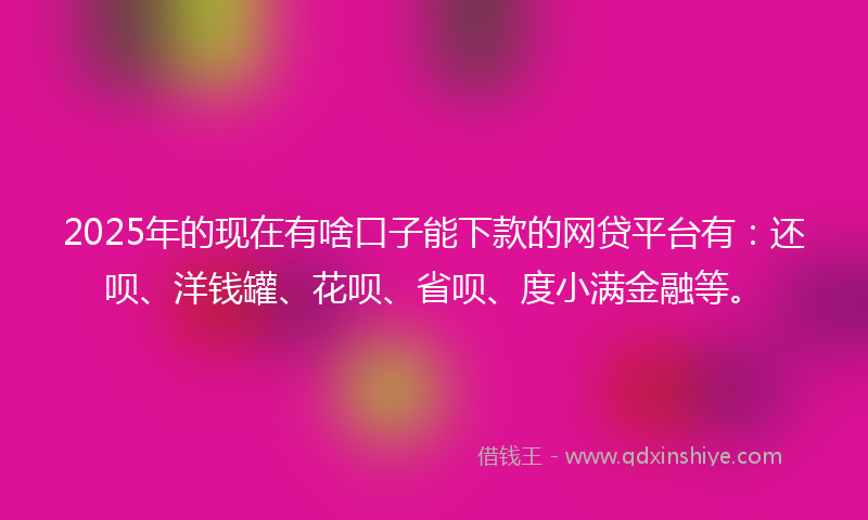 2025年的现在有啥口子能下款的网贷平台有：还呗、洋钱罐、花呗、省呗、度小满金融等。