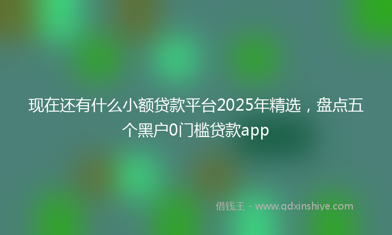 现在还有什么小额贷款平台2025年精选,盘点五个黑户0门槛贷款app