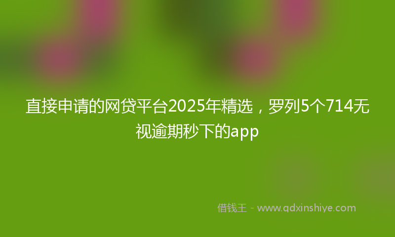直接申请的网贷平台2025年精选，罗列5个714无视逾期秒下的app