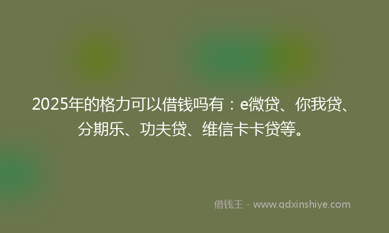 2025年的格力可以借钱吗有：e微贷、你我贷、分期乐、功夫贷、维信卡卡贷等。