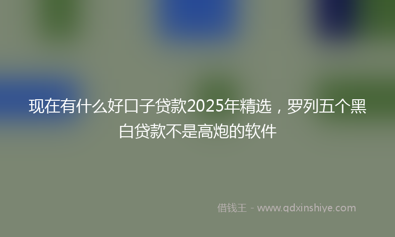 现在有什么好口子贷款2025年精选，罗列五个黑白贷款不是高炮的软件