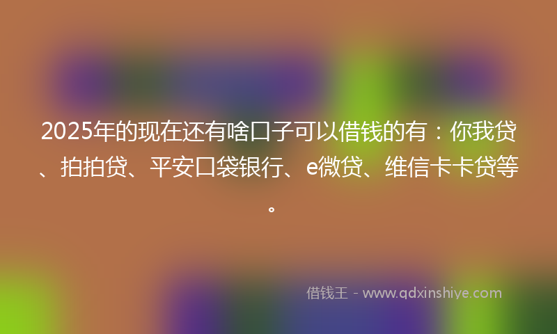 2025年的现在还有啥口子可以借钱的有：你我贷、拍拍贷、平安口袋银行、e微贷、维信卡卡贷等。