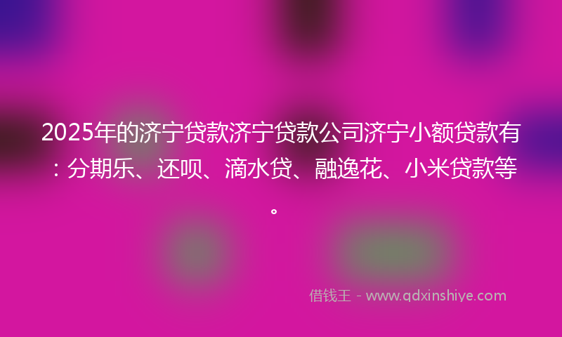 2025年的济宁贷款济宁贷款公司济宁小额贷款有：分期乐、还呗、滴水贷、融逸花、小米贷款等。