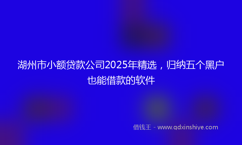 湖州市小额贷款公司2025年精选，归纳五个黑户也能借款的软件