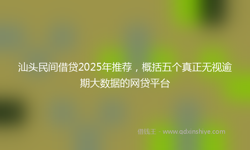 汕头民间借贷2025年推荐,概括五个真正无视逾期大数据的网贷平台