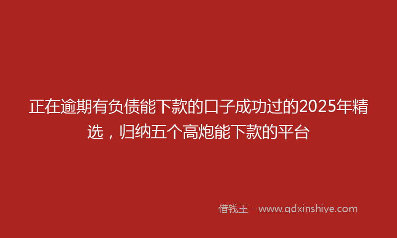 正在逾期有负债能下款的口子成功过的2025年精选，归纳五个高炮能下款的平台
