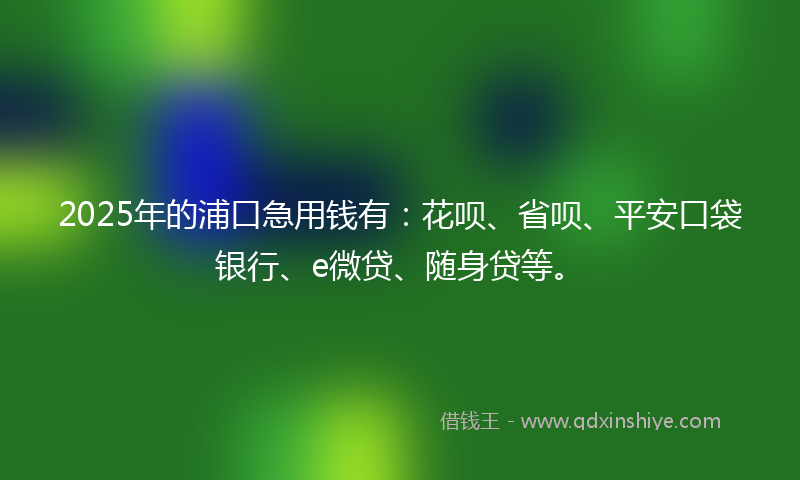 2025年的浦口急用钱有：花呗、省呗、平安口袋银行、e微贷、随身贷等。
