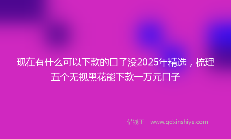 现在有什么可以下款的口子没2025年精选，梳理五个无视黑花能下款一万元口子