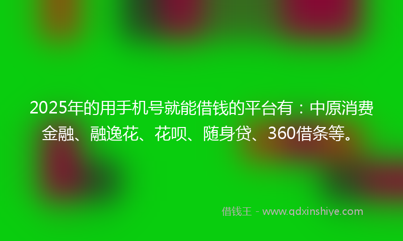 2025年的用手机号就能借钱的平台有：中原消费金融、融逸花、花呗、随身贷、360借条等。