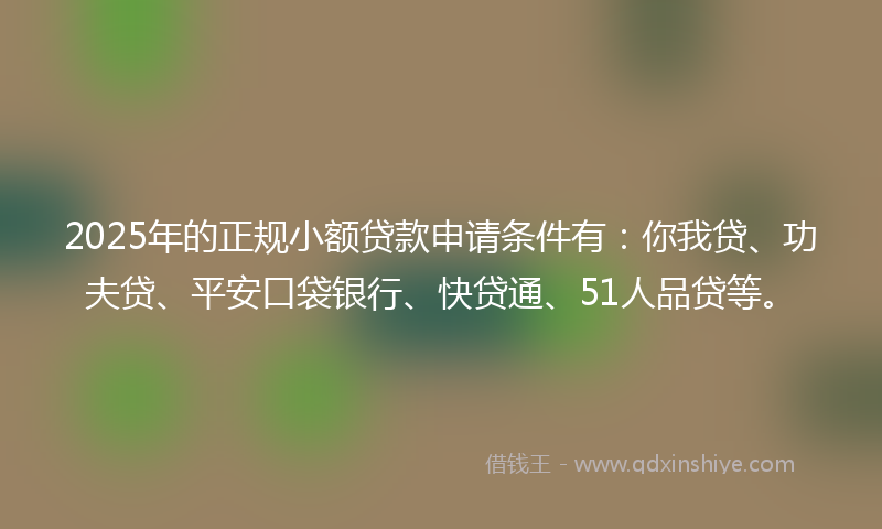 2025年的正规小额贷款申请条件有：你我贷、功夫贷、平安口袋银行、快贷通、51人品贷等。