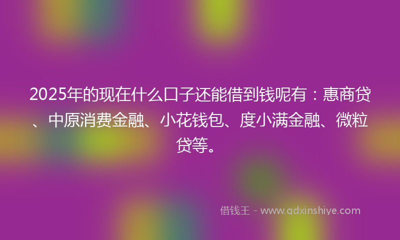 2025年的现在什么口子还能借到钱呢有：惠商贷、中原消费金融、小花钱包、度小满金融、微粒贷等。