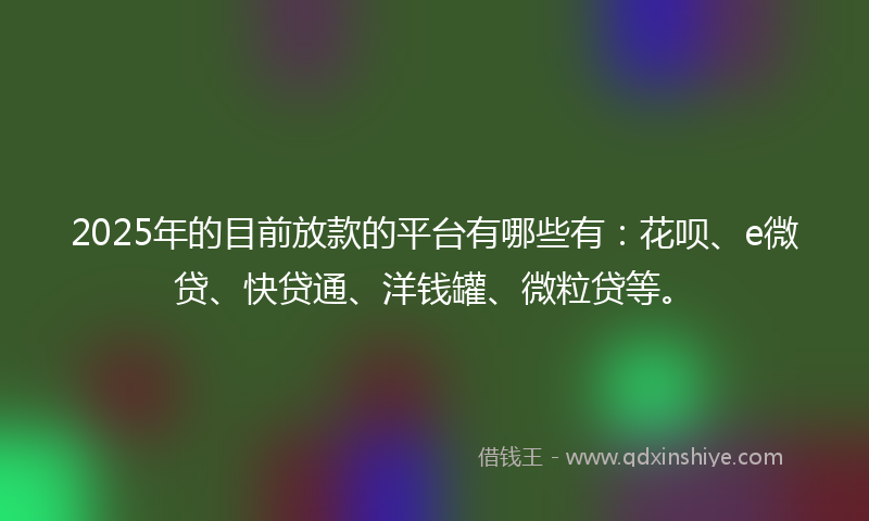 2025年的目前放款的平台有哪些有：花呗、e微贷、快贷通、洋钱罐、微粒贷等。