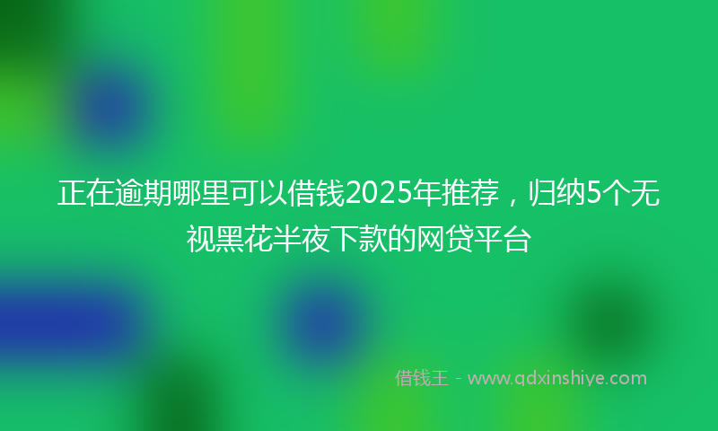 正在逾期哪里可以借钱2025年推荐，归纳5个无视黑花半夜下款的网贷平台