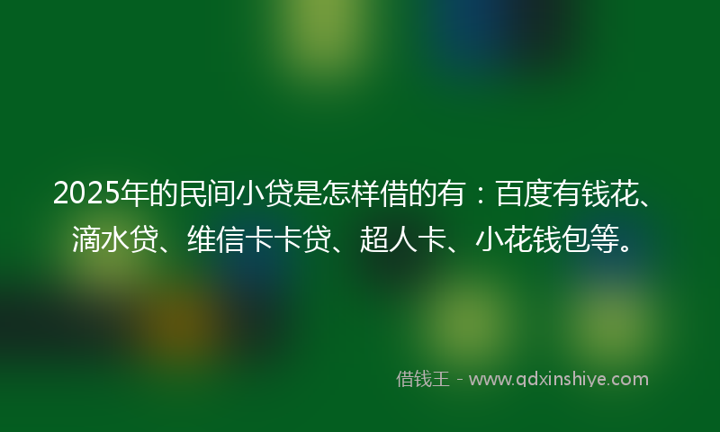 2025年的民间小贷是怎样借的有：百度有钱花、滴水贷、维信卡卡贷、超人卡、小花钱包等。