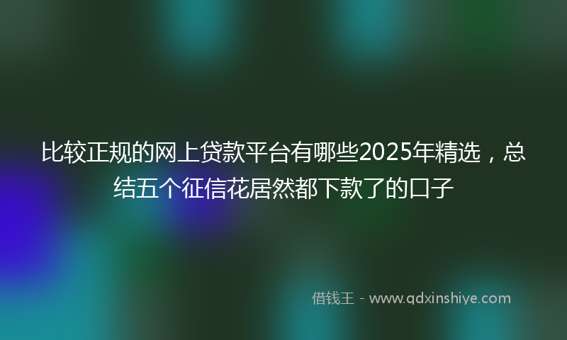 比较正规的网上贷款平台有哪些2025年精选，总结五个征信花居然都下款了的口子