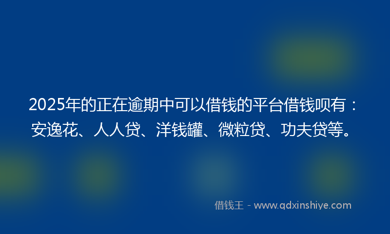 2025年的正在逾期中可以借钱的平台借钱呗有：安逸花、人人贷、洋钱罐、微粒贷、功夫贷等。