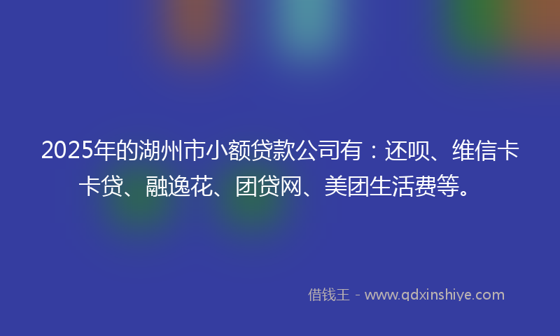 2025年的湖州市小额贷款公司有：还呗、维信卡卡贷、融逸花、团贷网、美团生活费等。
