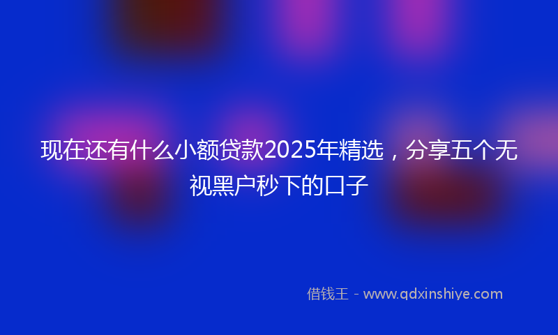现在还有什么小额贷款2025年精选，分享五个无视黑户秒下的口子