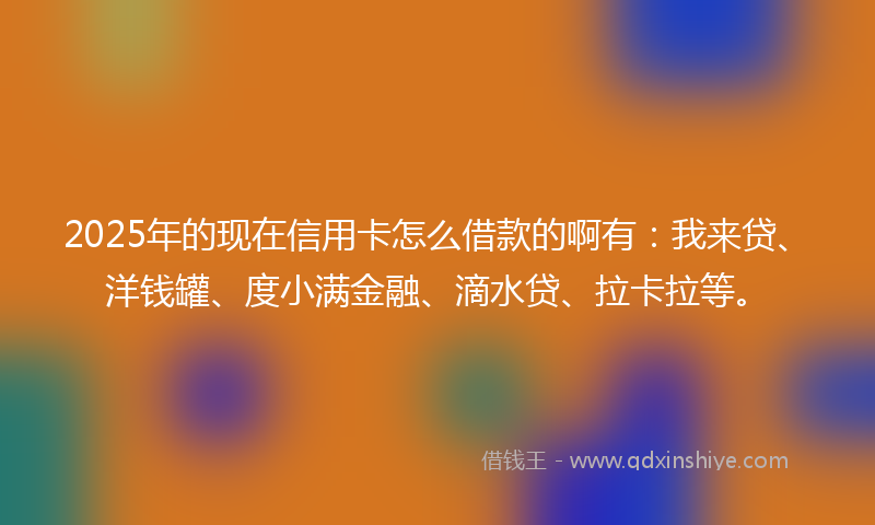 2025年的现在信用卡怎么借款的啊有：我来贷、洋钱罐、度小满金融、滴水贷、拉卡拉等。