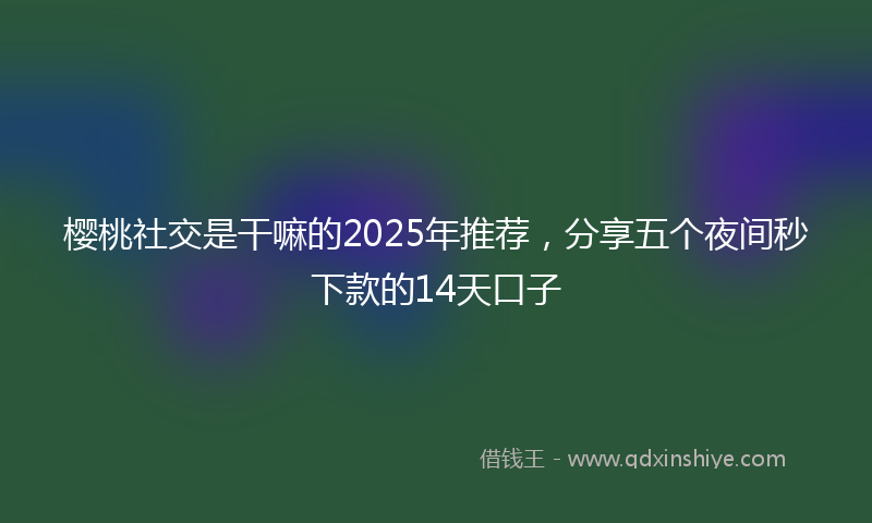 樱桃社交是干嘛的2025年推荐，分享五个夜间秒下款的14天口子