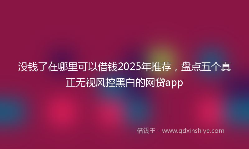 没钱了在哪里可以借钱2025年推荐，盘点五个真正无视风控黑白的网贷app
