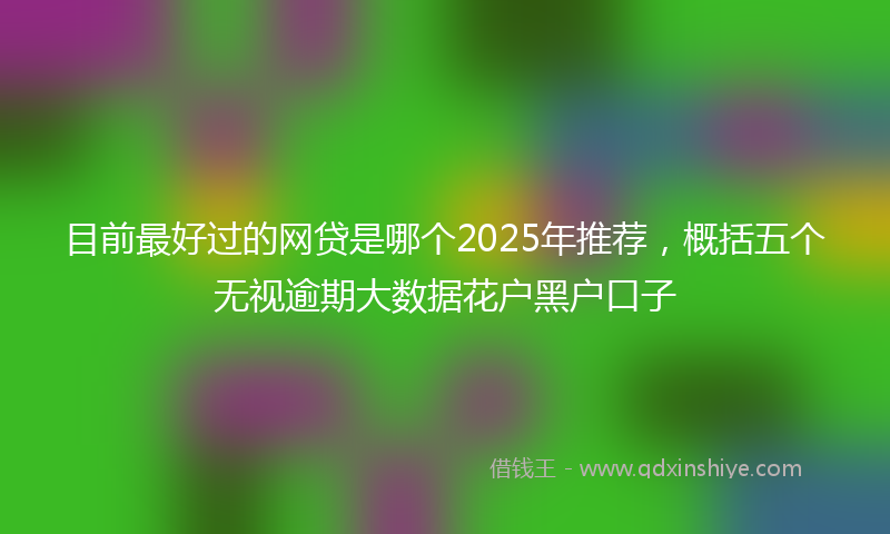 目前最好过的网贷是哪个2025年推荐，概括五个无视逾期大数据花户黑户口子