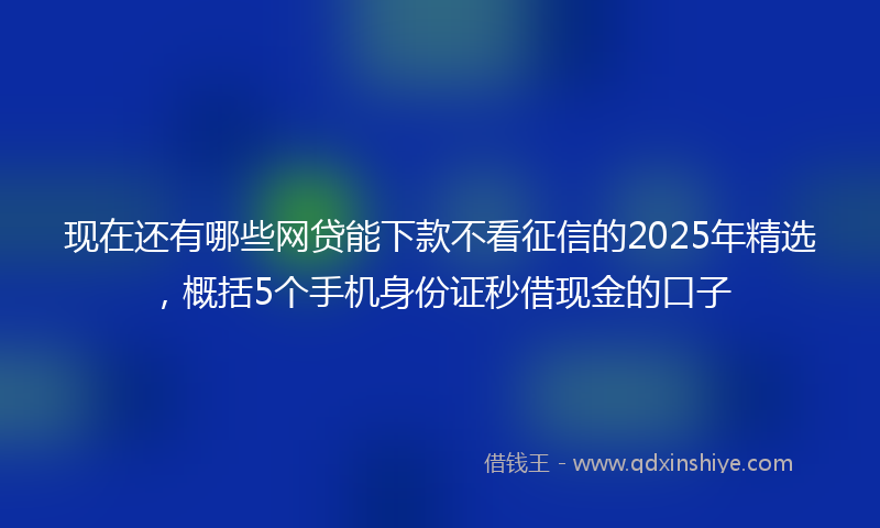 现在还有哪些网贷能下款不看征信的2025年精选，概括5个手机身份证秒借现金的口子