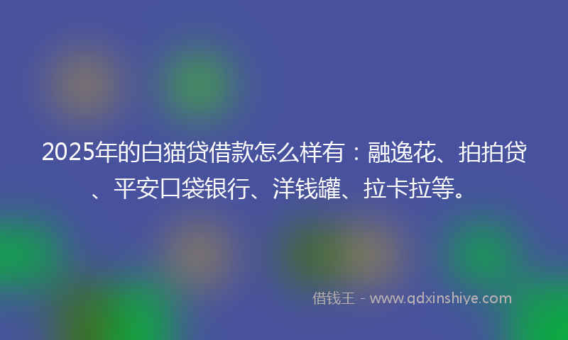 2025年的白猫贷借款怎么样有：融逸花、拍拍贷、平安口袋银行、洋钱罐、拉卡拉等。
