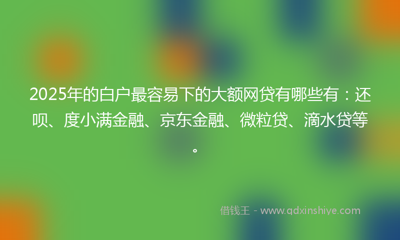 2025年的白户最容易下的大额网贷有哪些有：还呗、度小满金融、京东金融、微粒贷、滴水贷等。