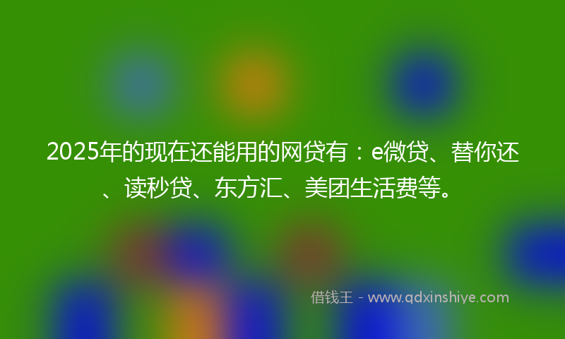 2025年的现在还能用的网贷有：e微贷、替你还、读秒贷、东方汇、美团生活费等。