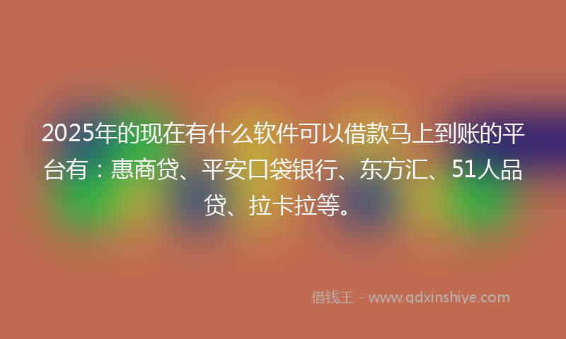 2025年的现在有什么软件可以借款马上到账的平台有：惠商贷、平安口袋银行、东方汇、51人品贷、拉卡拉等。
