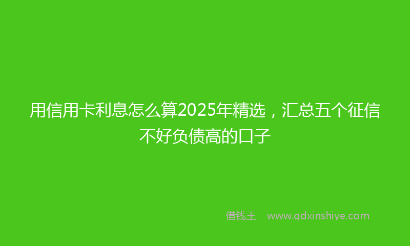 用信用卡利息怎么算2025年精选，汇总五个征信不好负债高的口子