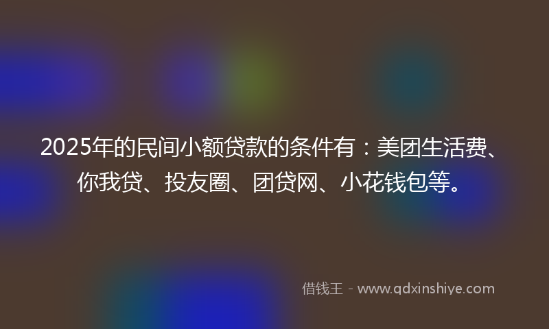 2025年的民间小额贷款的条件有：美团生活费、你我贷、投友圈、团贷网、小花钱包等。