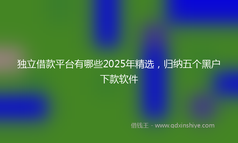 独立借款平台有哪些2025年精选，归纳五个黑户下款软件