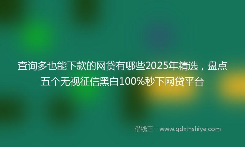 查询多也能下款的网贷有哪些2025年精选，盘点五个无视征信黑白100%秒下网贷平台