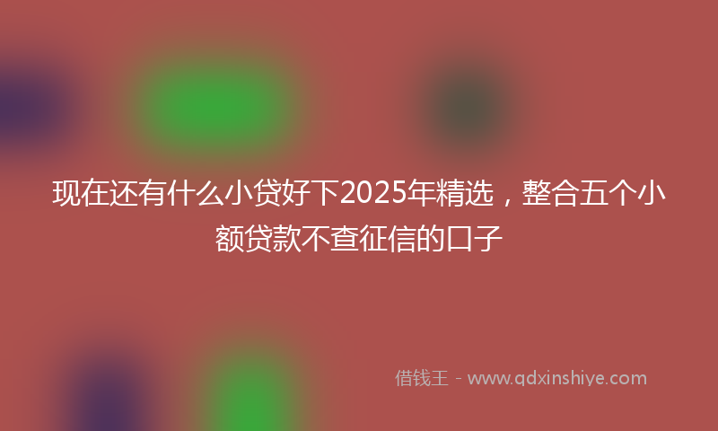 现在还有什么小贷好下2025年精选，整合五个小额贷款不查征信的口子