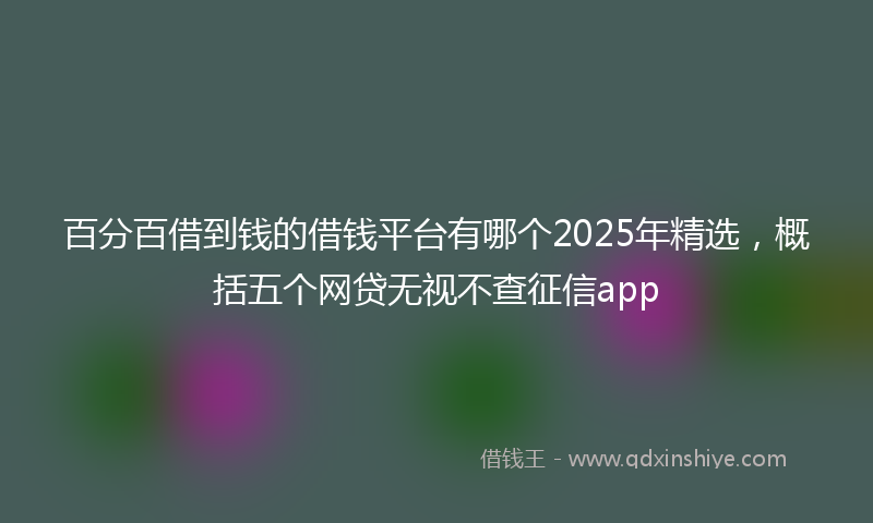 百分百借到钱的借钱平台有哪个2025年精选，概括五个网贷无视不查征信app