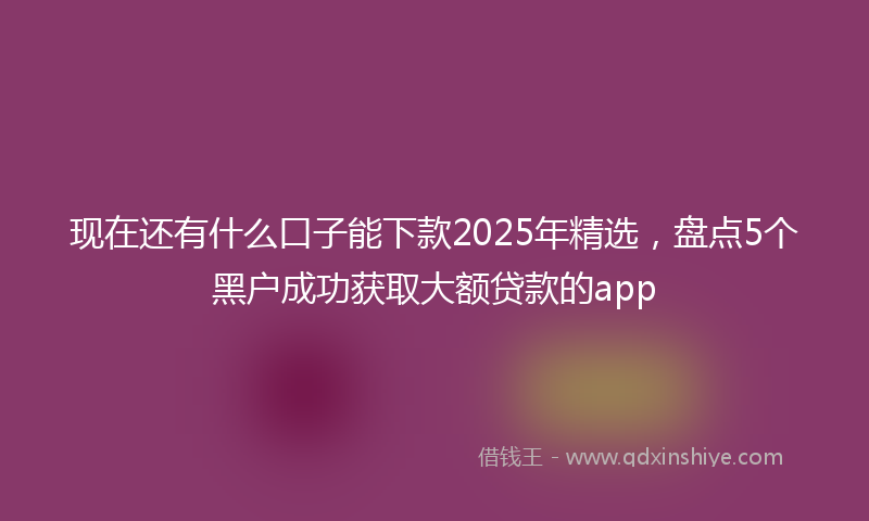 现在还有什么口子能下款2025年精选，盘点5个黑户成功获取大额贷款的app