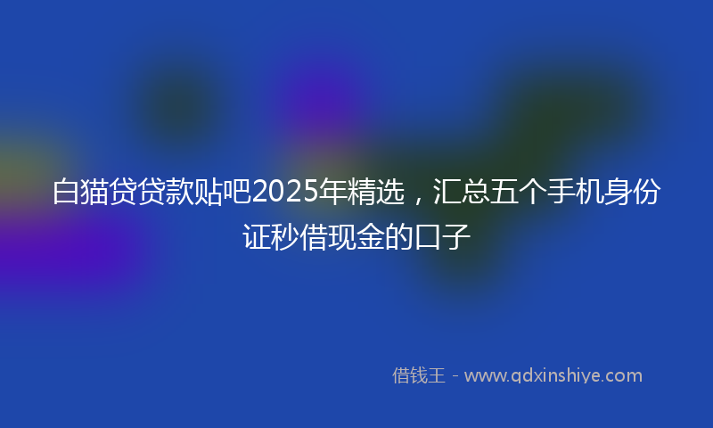 白猫贷贷款贴吧2025年精选，汇总五个手机身份证秒借现金的口子