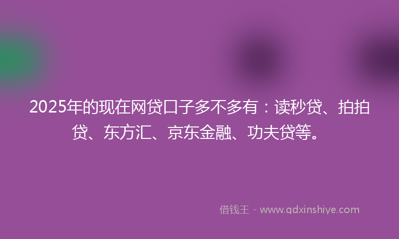 2025年的现在网贷口子多不多有：读秒贷、拍拍贷、东方汇、京东金融、功夫贷等。