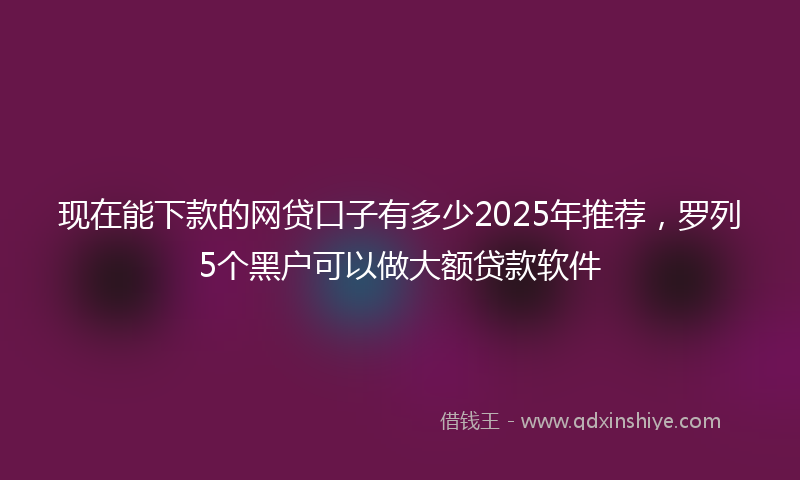 现在能下款的网贷口子有多少2025年推荐，罗列5个黑户可以做大额贷款软件