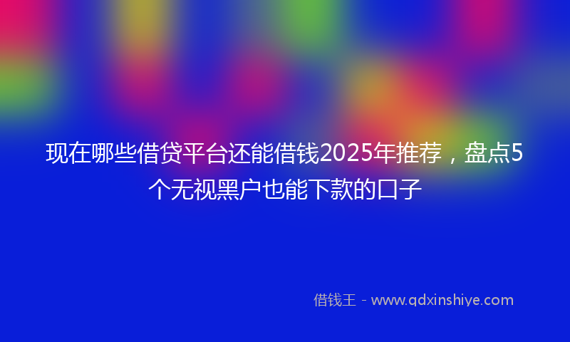 现在哪些借贷平台还能借钱2025年推荐,盘点5个无视黑户也能下款的口子