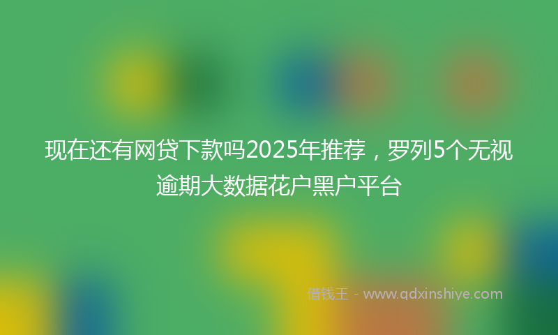 现在还有网贷下款吗2025年推荐,罗列5个无视逾期大数据花户黑户平台