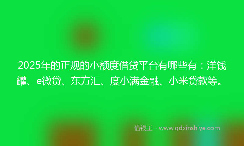 2025年的正规的小额度借贷平台有哪些有：洋钱罐、e微贷、东方汇、度小满金融、小米贷款等。