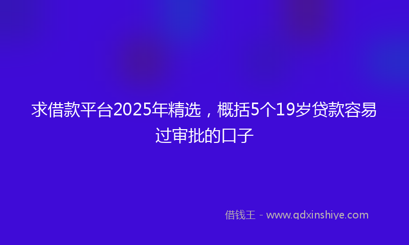 求借款平台2025年精选，概括5个19岁贷款容易过审批的口子