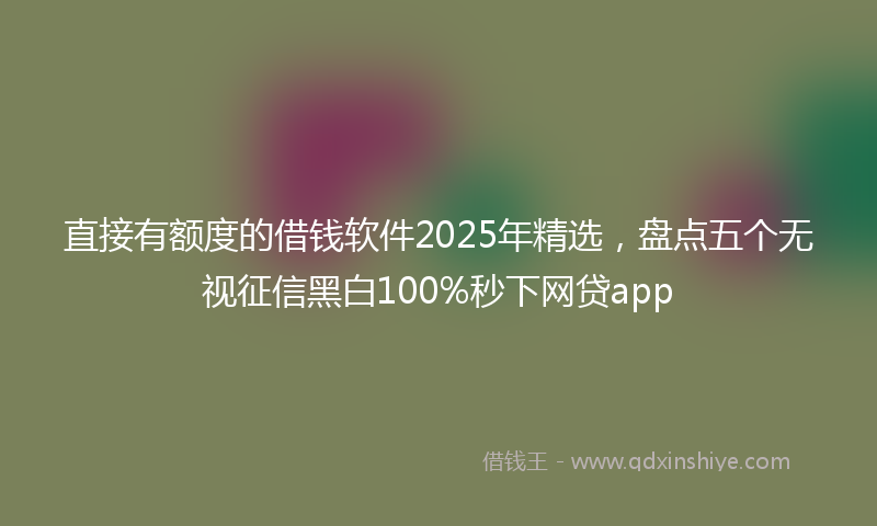 直接有额度的借钱软件2025年精选，盘点五个无视征信黑白100%秒下网贷app