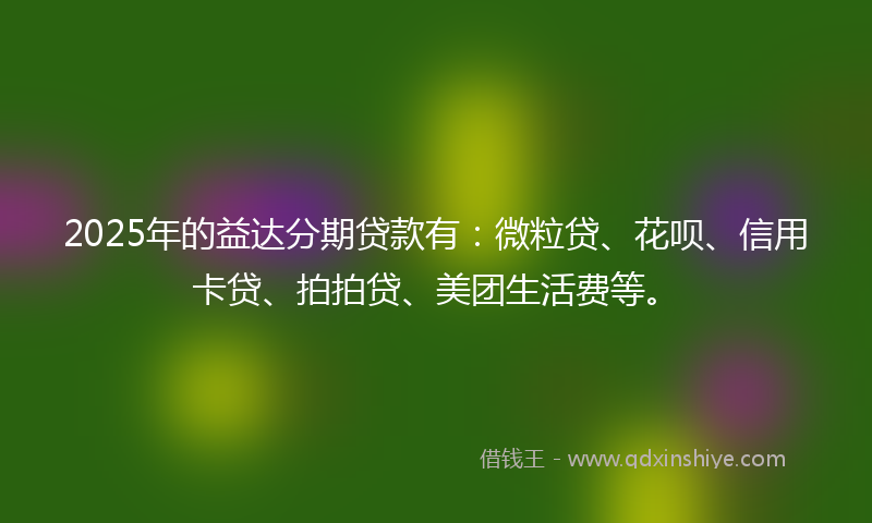 2025年的益达分期贷款有：微粒贷、花呗、信用卡贷、拍拍贷、美团生活费等。